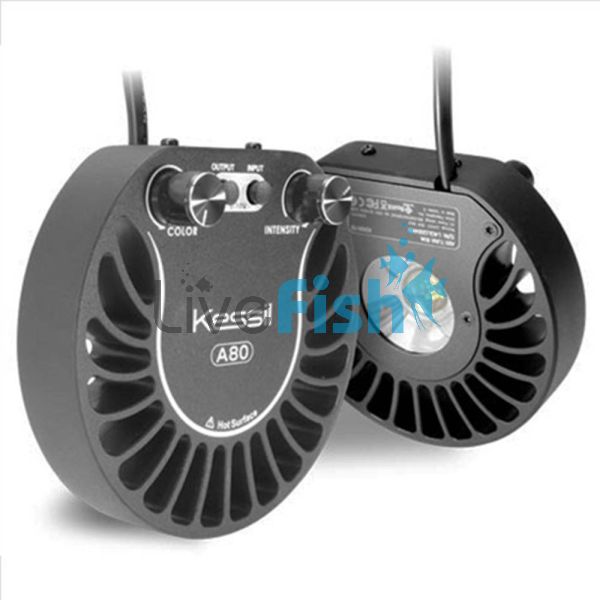 Kessil A80-TS Tuna Sun Freshwater Plant Spectrum