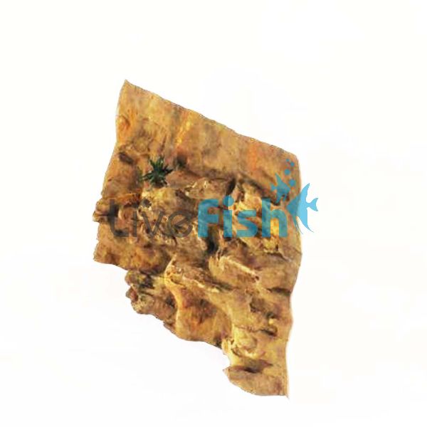 Ledge Background 183cm x 61cm