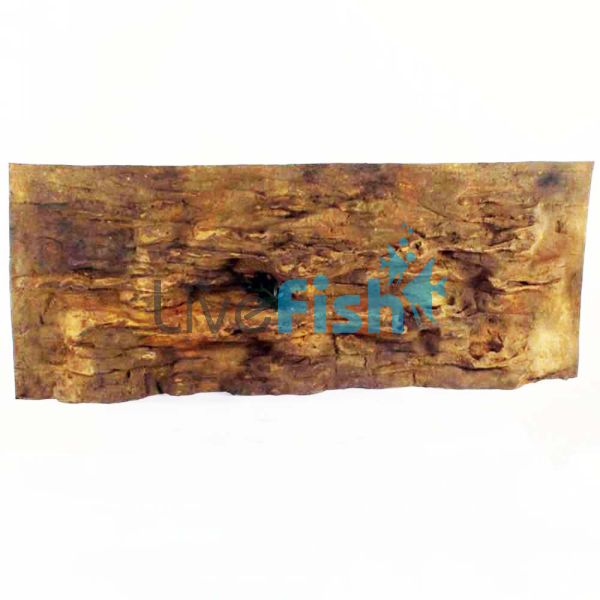 Ledge Background 183cm x 71cm