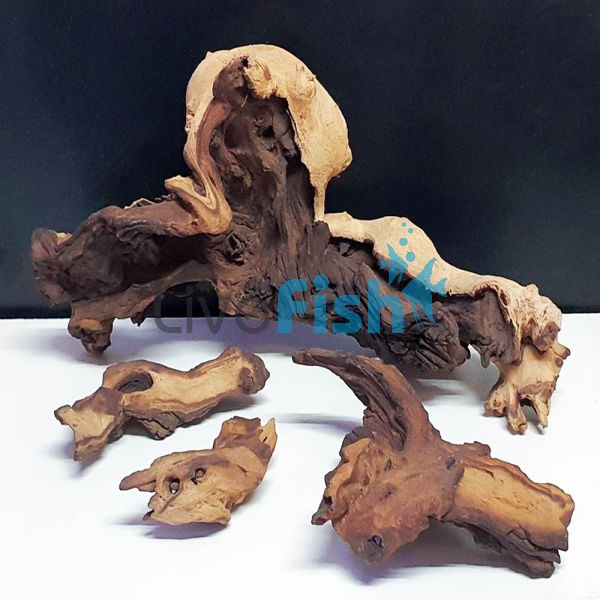 Mopani Driftwood Pack