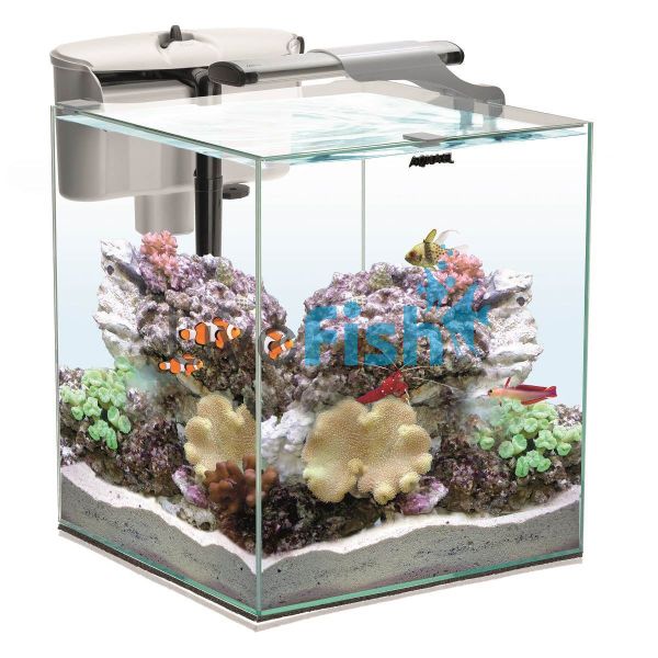Aquael Nano Reef Duo