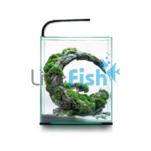 AquaEl Shrimp set 10L - Black