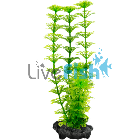 Decoart Plant Ambulia - Medium 23cm