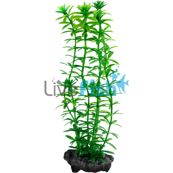 Decoart Plant Anacharis - Large 30cm