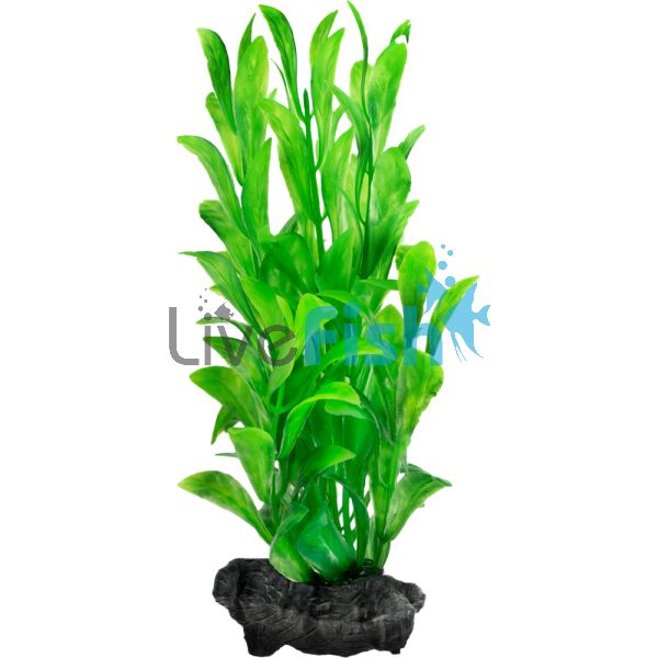 Decoart Plant Hygrophila - Large 30cm
