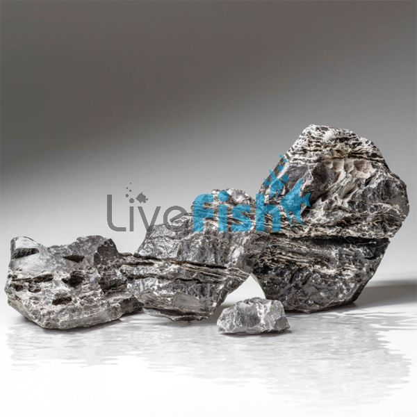 Zebra Rock 8kg 