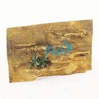 UR Ledge Background 76cm x 45.5cm 