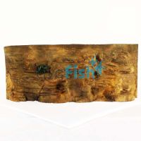 Ledge Background 152cm x 61cm