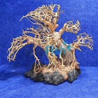 Bonsai Driftwood 20cm x 15cm