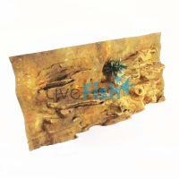 Ledge Background 183cm x 61cm