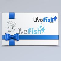 Livefish Gift Certificate