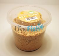 Mealworms 100g Tenebrio Molitor