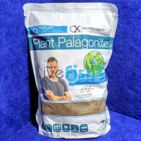 Plant Palagonite 2L - Oliver Knott