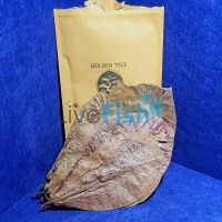 Premium Indian Almond Leaves 50g
