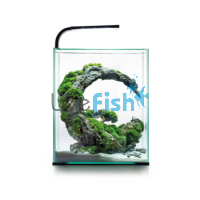 AquaEl Shrimp Set 10L - White