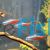 20x Neon Tetra 2cm