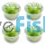 4x 'Milfoil' Myriophyllum Simulans - TC