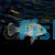 Silver Saum 5cm - Aequidens Rivulatus White Edged