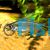 Yellowtail Congo Tetra
