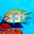 Female Black Spot Angelfish