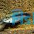 Apistogramma erythrura 