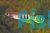 Rainbow Panchax Aplocheilus Dayi 3.5cm
