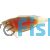 Apricot Paradise Fish