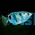 Archer Fish 10cm