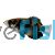 Archer Fish Brackish 