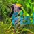Assorted Angel Fish