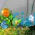 Assorted Discus 