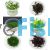 Assorted TC Plant Package