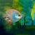 Balloon Pink Kissing Gourami 