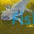 Axolotl - Walking Fish Black