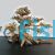 Bonsai Driftwood 35cm x 25cm