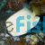 Butterflyfish Speckled