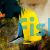 Butterflyfish Yellow Longnose Forcipiger flavissimus
