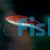 Wrasse Longfin Fairy