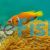 Clownfish Maldives 