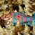 Coral Hawkfish