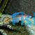 Cyprichromis Leptosoma