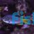 Damselfish Coral