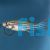 Zebra Danio