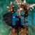 Damselfish Domino 