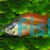Eastern Rainbow - Deep Water Creek