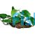 Emerald Heart & Barteri Driftwood