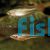 50x Firetail Gudgeons 3cm
