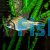 Flagtail Prochilodus Red Finned 