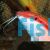Goatfish Red Band
