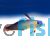 Purple Dartfish Goby - Medium